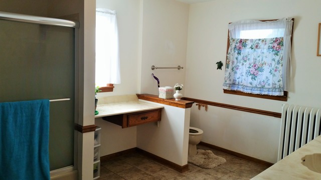 475 Ann St, Elgin, IL 60120 photo 20