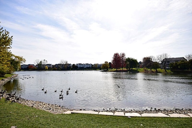 1334 Paddock Pl, Bartlett, IL 60103 photo 25