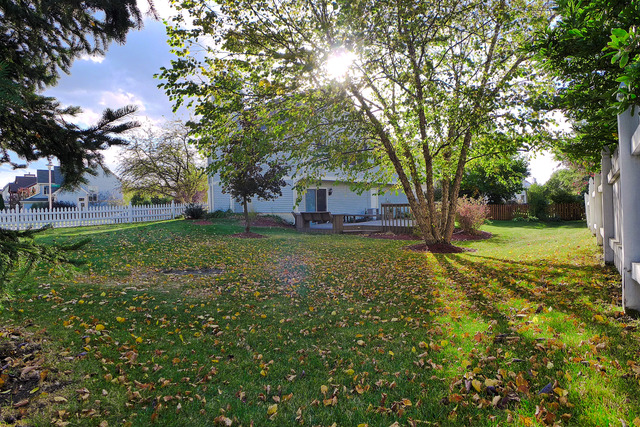 452 Harvard Ln, Bartlett, IL 60103 photo 16