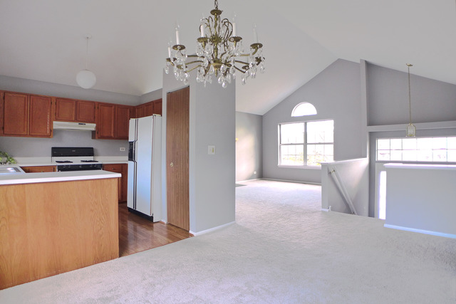 452 Harvard Ln, Bartlett, IL 60103 photo 8