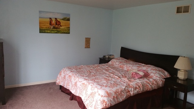 4 Falcon Ridge Ct, Algonquin, IL 60102 photo 8
