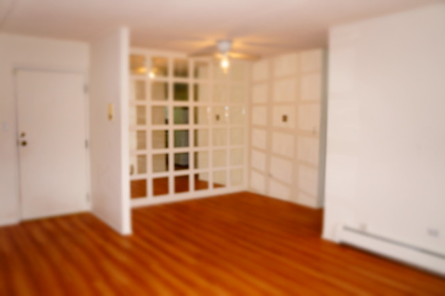 575 Fairway View Dr #3g, Wheeling, IL 60090 photo 3