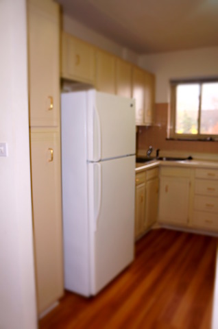 575 Fairway View Dr #3g, Wheeling, IL 60090 photo 5