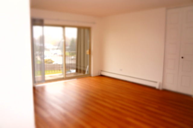 575 Fairway View Dr #3g, Wheeling, IL 60090 photo 4