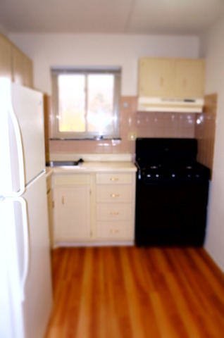575 Fairway View Dr #3g, Wheeling, IL 60090 photo 6