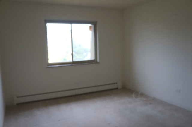 575 Fairway View Dr #3g, Wheeling, IL 60090 photo 7