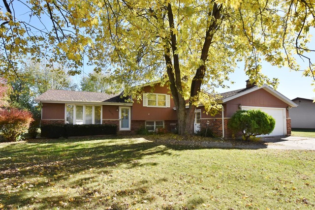 16141 George Ct, Plainfield, IL 60586 photo 1