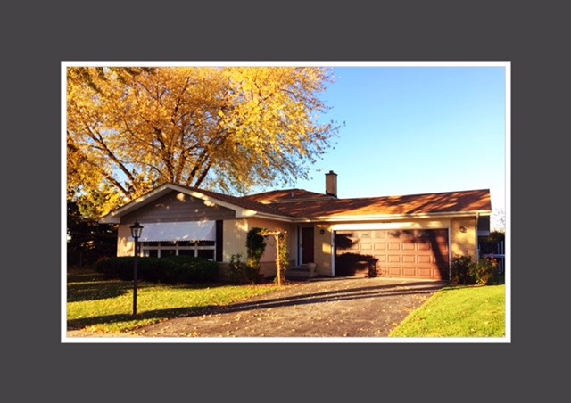 1007 Peace Dr, Wheeling, IL 60090 photo 1
