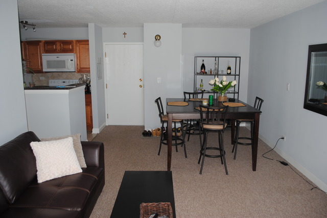 5600 Astor Ln #207, Rolling Meadows, IL 60008 photo 5