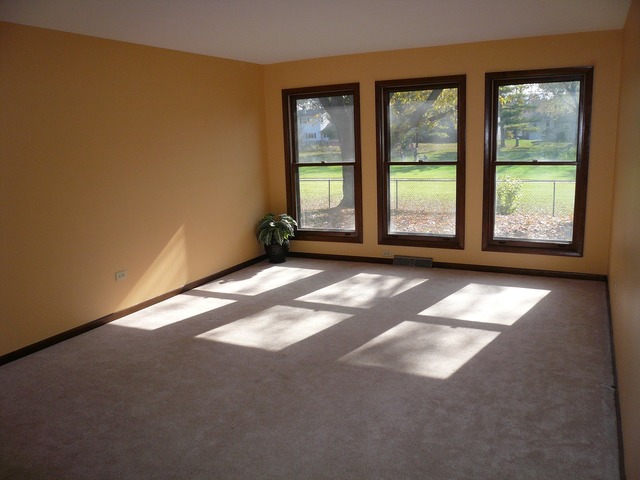 1255 E Carpenter Dr, Palatine, IL 60074 photo 2