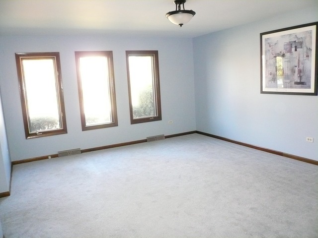 1255 E Carpenter Dr, Palatine, IL 60074 photo 12