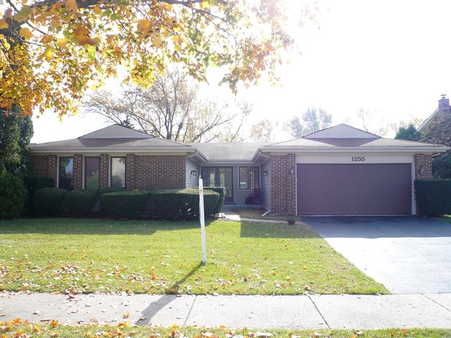1255 E Carpenter Dr, Palatine, IL 60074 photo 1