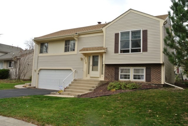 229 Burnside Cir, Bartlett, IL 60103 photo 1