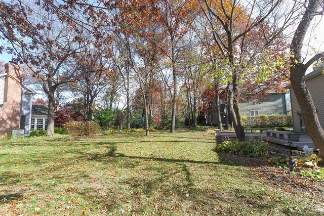 990 La Costa Ave, Bartlett, IL 60103 photo 23