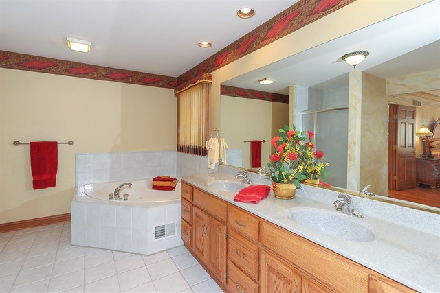 990 La Costa Ave, Bartlett, IL 60103 photo 16