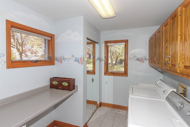 990 La Costa Ave, Bartlett, IL 60103 photo 21