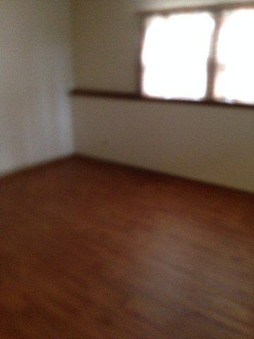 5100 State Rd, Burbank, IL 60459 photo 10
