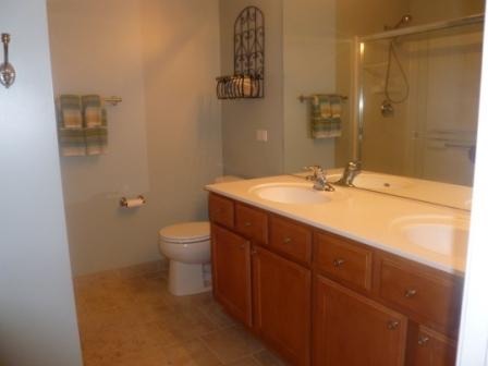 2409 Emily Ln, Elgin, IL 60124 photo 7