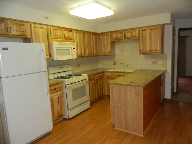 1600 E Thacker St #303, Des Plaines, IL 60016 photo 4