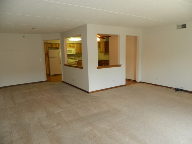 1600 E Thacker St #303, Des Plaines, IL 60016 photo 3