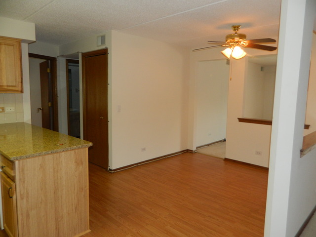 1600 E Thacker St #303, Des Plaines, IL 60016 photo 6