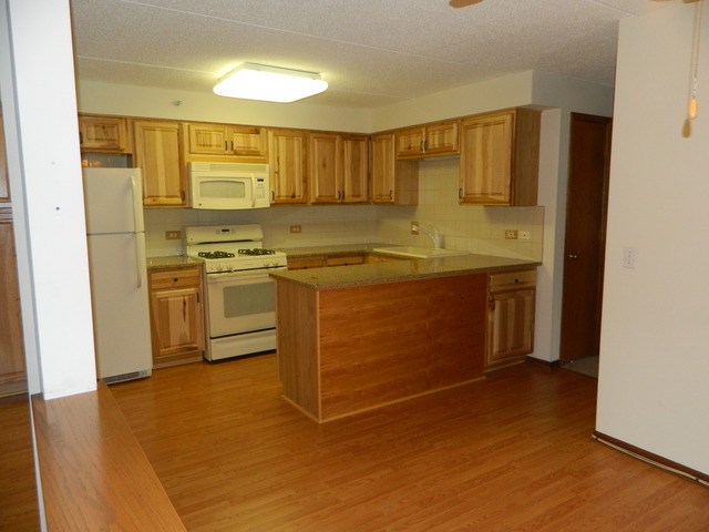 1600 E Thacker St #303, Des Plaines, IL 60016 photo 5
