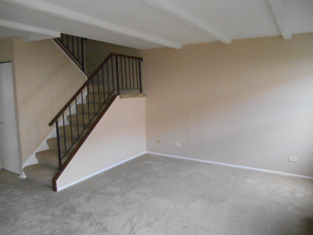 831 Minnesota Cir, Carol Stream, IL 60188 photo 9