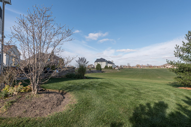 12835 Peppertree Dr, Plainfield, IL 60585 photo 15