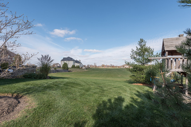 12835 Peppertree Dr, Plainfield, IL 60585 photo 14