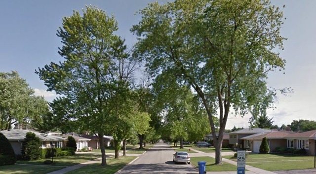 2001 Eastview Dr, Des Plaines, IL 60018 photo 3