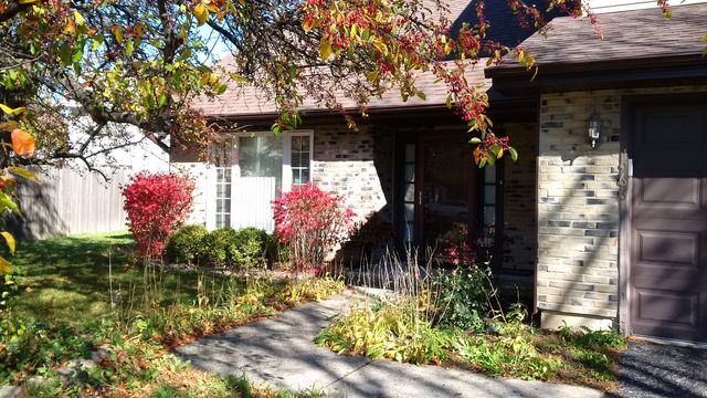 1966 Brookside Ln, Hoffman Estates, IL 60169 photo 3
