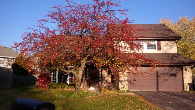 1966 Brookside Ln, Hoffman Estates, IL 60169 photo 2