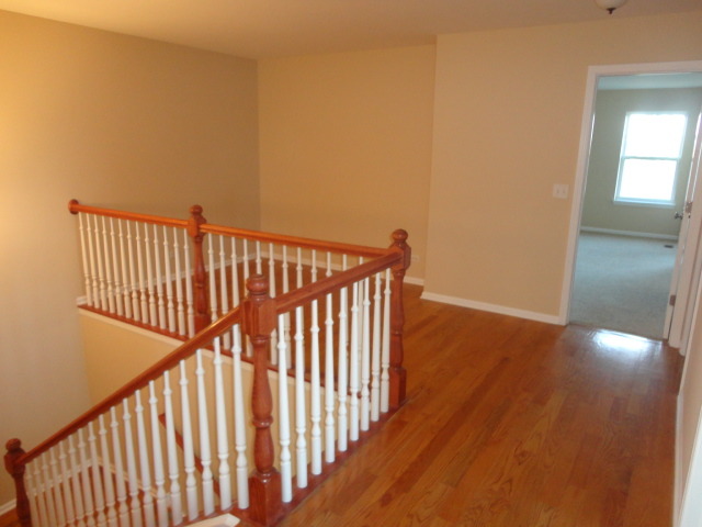 3002 Cookson Ave, Elgin, IL 60124 photo 10