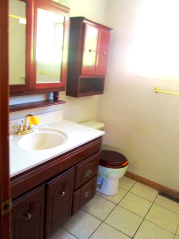 1533 N Wolf Rd, Berkeley, IL 60163 photo 8