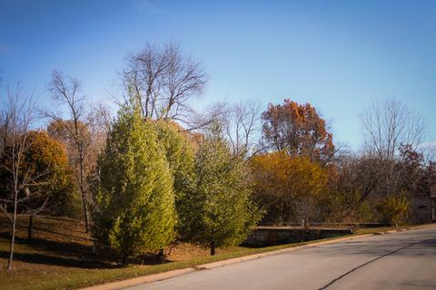 10418 Fox Bluff Ln, Spring Grove, IL 60081 photo 2