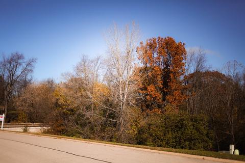 10418 Fox Bluff Ln, Spring Grove, IL 60081 photo 4