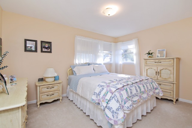 831 Long Rd, Glenview, IL 60025 photo 10