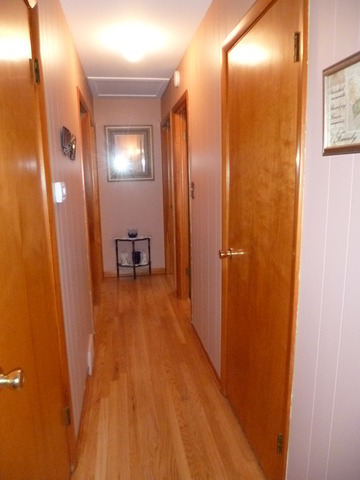 3219 Halsted St, Steger, IL 60475 photo 7