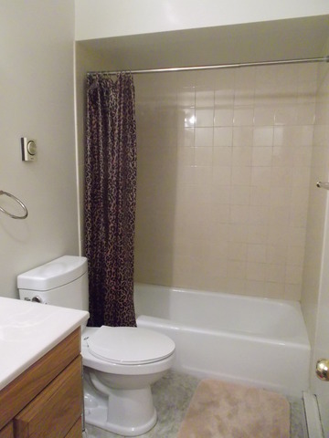 539 N Pleasant Dr #1D, Glenwood, IL 60425 photo 14