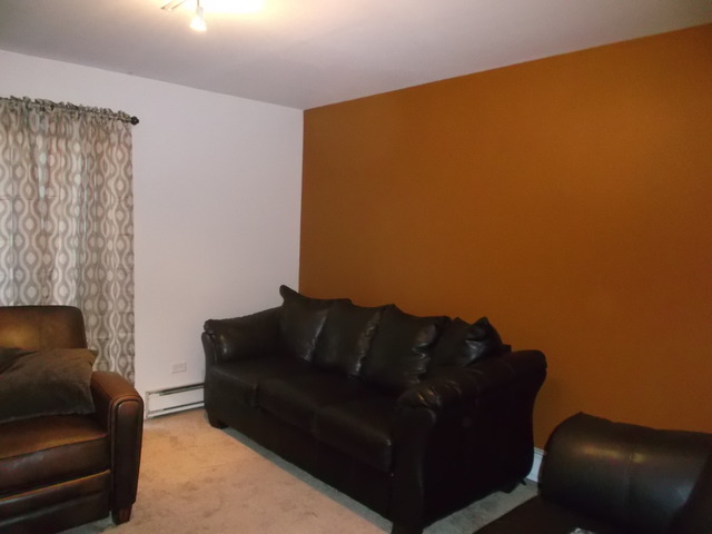 539 N Pleasant Dr #1D, Glenwood, IL 60425 photo 3