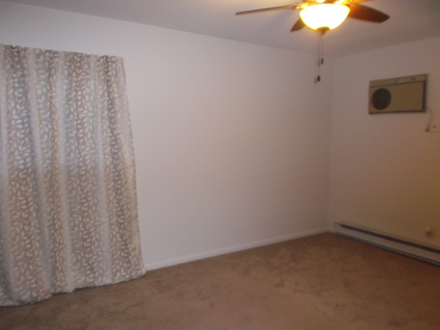 539 N Pleasant Dr #1D, Glenwood, IL 60425 photo 8