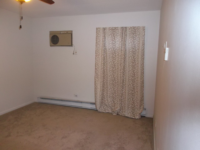539 N Pleasant Dr #1D, Glenwood, IL 60425 photo 9