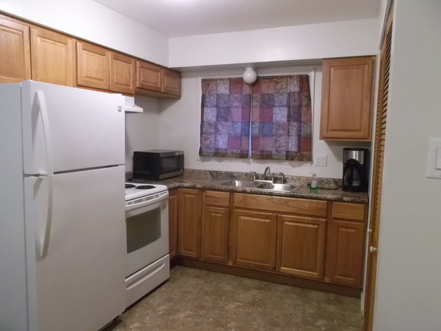 539 N Pleasant Dr #1D, Glenwood, IL 60425 photo 5