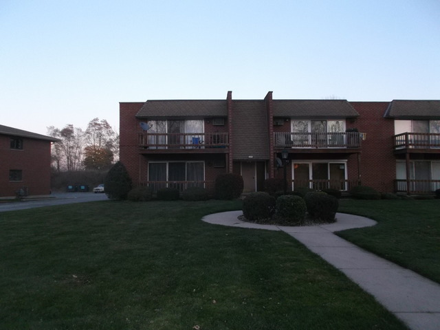 539 N Pleasant Dr #1D, Glenwood, IL 60425 photo 25