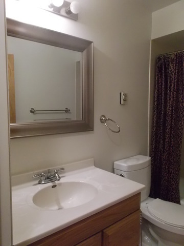 539 N Pleasant Dr #1D, Glenwood, IL 60425 photo 13