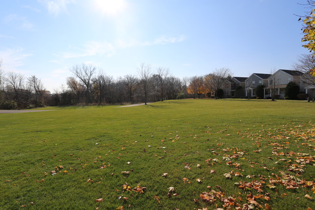 2208 Dalewood Ct, Plainfield, IL 60586 photo 20