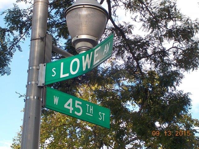 4516 S Lowe Ave, Chicago, IL 60609 photo 19