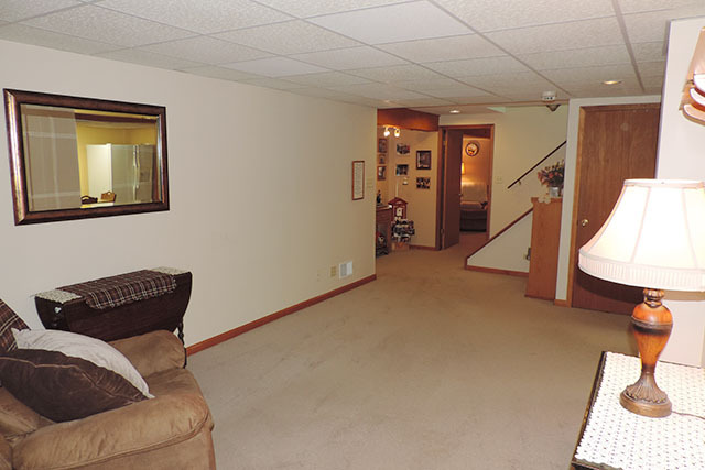 321 Brynn Dr, Manhattan, IL 60442 photo 21