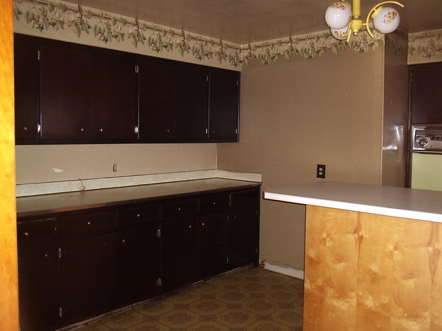 907 W Jasper St, Joliet, IL 60436 photo 5