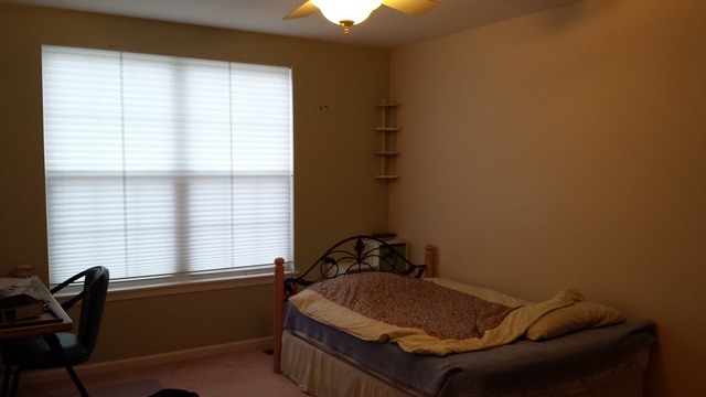 10145 Compton Dr, Huntley, IL 60142 photo 4